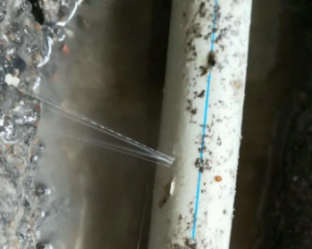平湖卫生间测漏水多少钱